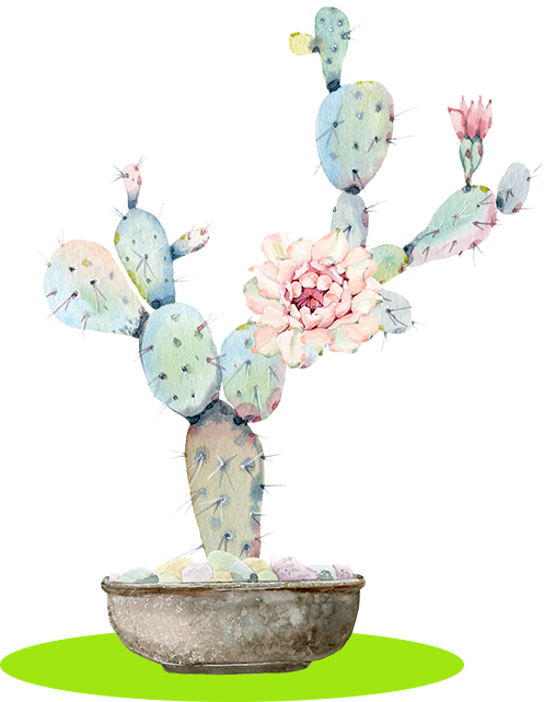 Illustration formulaire de contact Intot